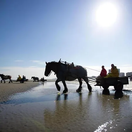 In With Stunning Sea Views Appartamento Nieuwpoort