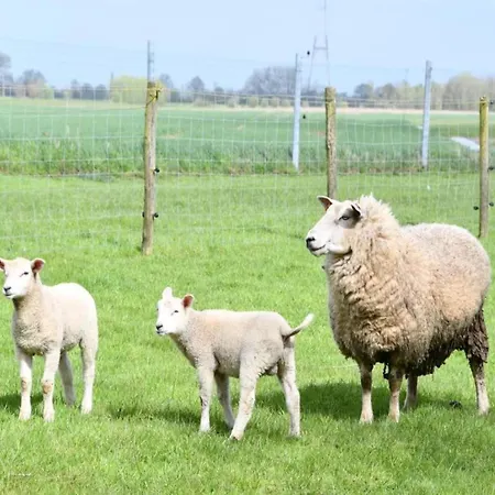 In With Stunning Sea Views Appartamento *